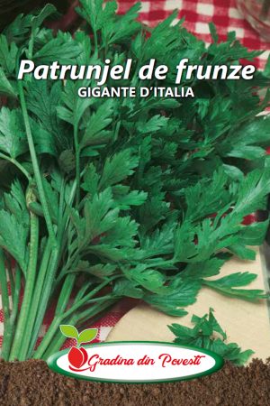 Seminte Patrunjel Gigante D'Italia Gradina din Povesti