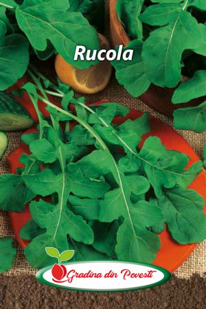 Seminte Rucola Gradina din Povesti