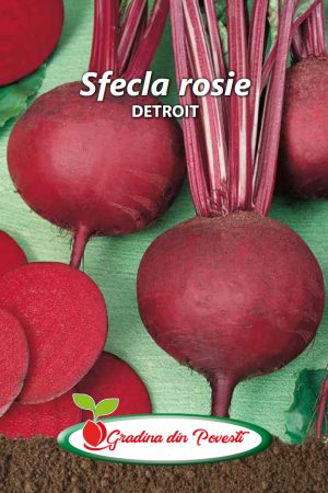 Seminte Sfecla Rosie Detroit Gradina din Povesti