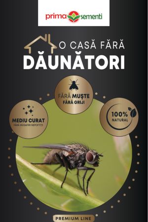 O Casa Fara Daunatori Muste